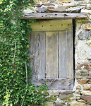 IMG_0584 (2)