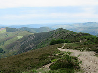IMG_0492 (2)