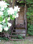 IMG_0539 (2)