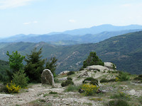 IMG_0541 (2)