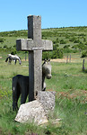IMG_0610 (2)