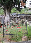 IMG_0636 (2)