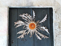 IMG_0640 (3)