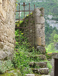 IMG_0654 (3)
