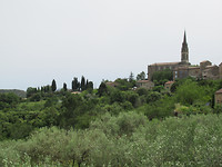 IMG_0740