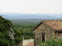 IMG_0753 (2)
