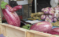 IMG_0761 (3)