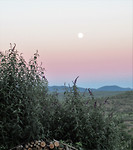 IMG_0764 (2)