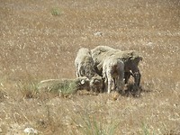 IMG_1351