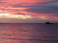 IMG_1371
