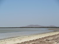 IMG_2111