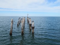 IMG_2120