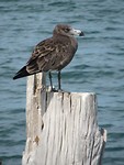 IMG_2125