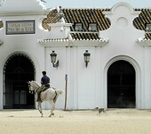 IMG_5393