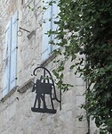 IMG_6084