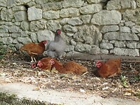 IMG_6065