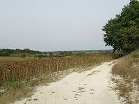 IMG_6074