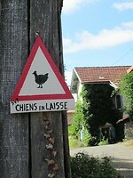 IMG_6010