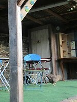 IMG_6006