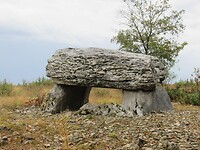 IMG_6023