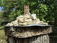 IMG_6051