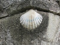 IMG_6036