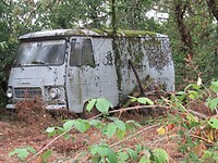 IMG_6026