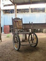 IMG_6298