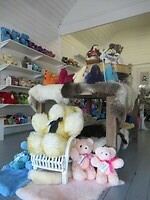 IMG_6319