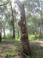 IMG_6310