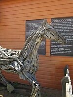IMG_6321