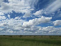 IMG_6322