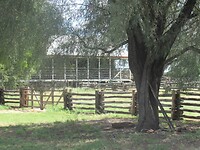 IMG_6306