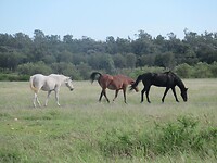 IMG_6311