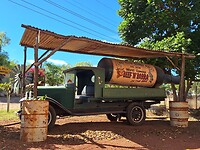1000037031