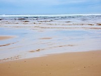 0D019412-B318-4233-8ACF-E6BEF1781CB1