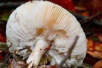 11914188-FEDB-440C-B7E7-77FDFCFEBAF4