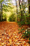 04590022-5F93-4CC3-9CBE-9533DF538744