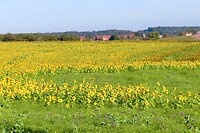 IMG_1560
