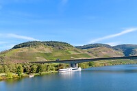 IMG_1565