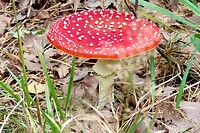 IMG_1585