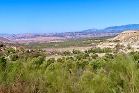 IMG_2047