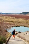 IMG_2069