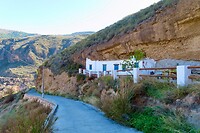 IMG_2339
