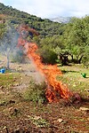 IMG_2739