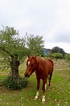 IMG_2743