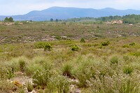 IMG_3016