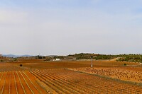 IMG_3023