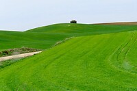 IMG_3032