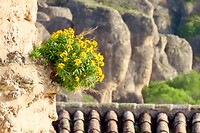 IMG_3053